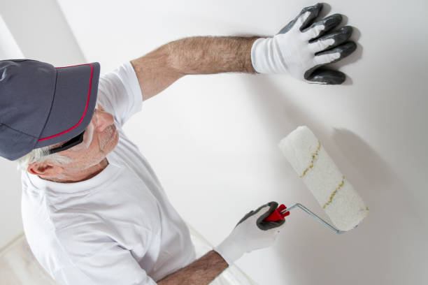 Best Mold Damage Restoration  in St City, AR