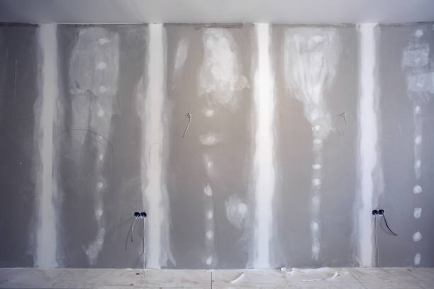 Best Environmental Consulting for Mold Prevention  in St City, AR
